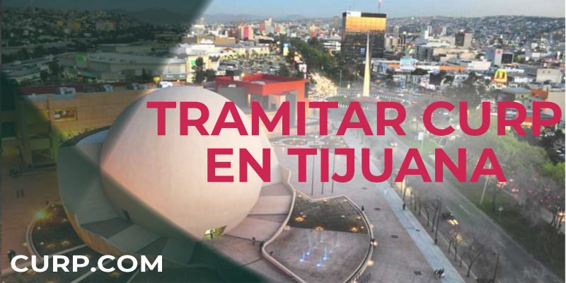 CURP.COM TIJUANA