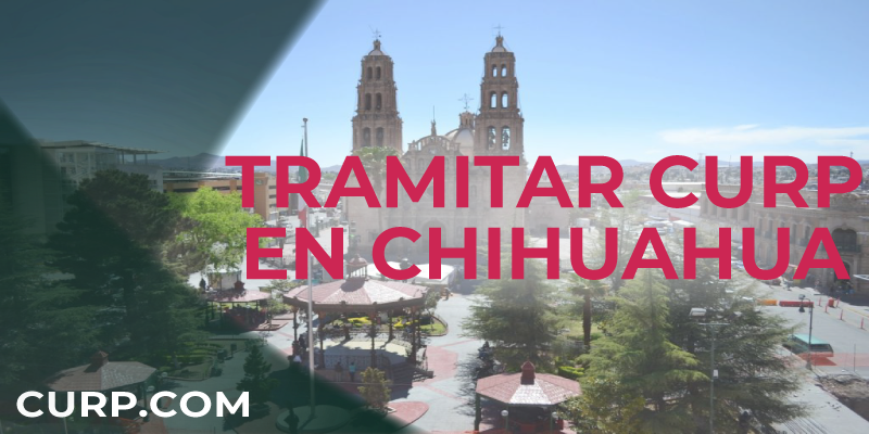 TRAMITAR CURP CHIHUAHUA TRAMITAR CURP CHIHUAHUA